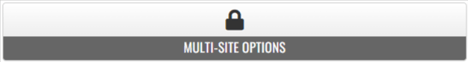 Button that says Multi Site Options